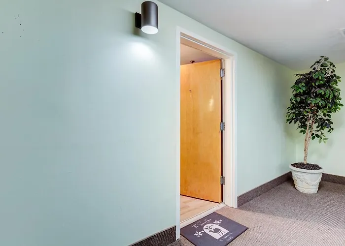 Apartment Entire In Downtown *